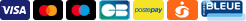 Siete logotipos de métodos de pago habituales: VISA azul oscuro, Mastercard negra, logotipo negro con círculos de colores superpuestos, CB verde y azul, Postepay amarilla, Satispay naranja y J-BLEUE azul claro.